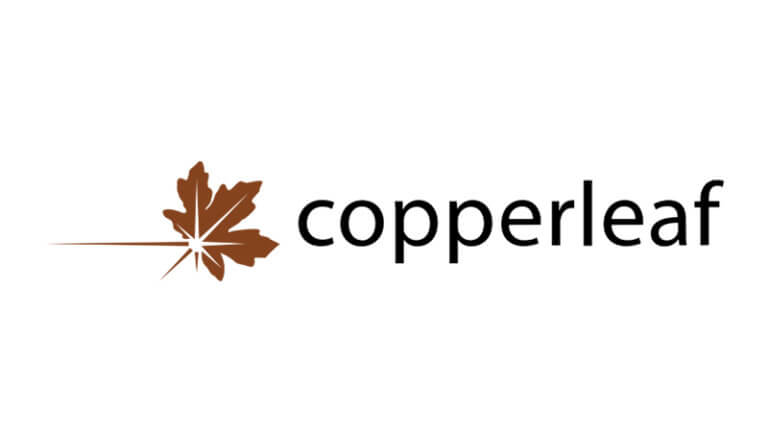Copperleaf Icon Case Studies Archive - Discovered Assessments