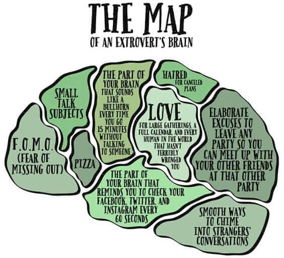 extrovert brain map