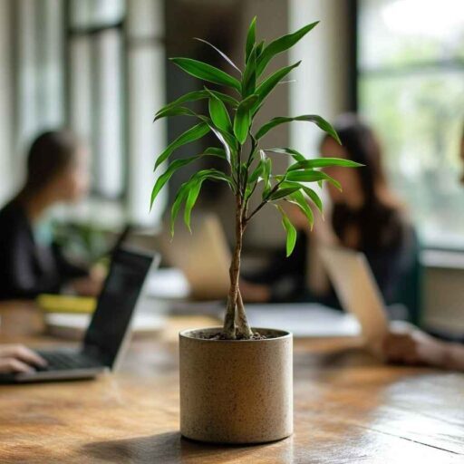 A sales team is getting ready for something big, a plant is on the desk symbolizing growth.