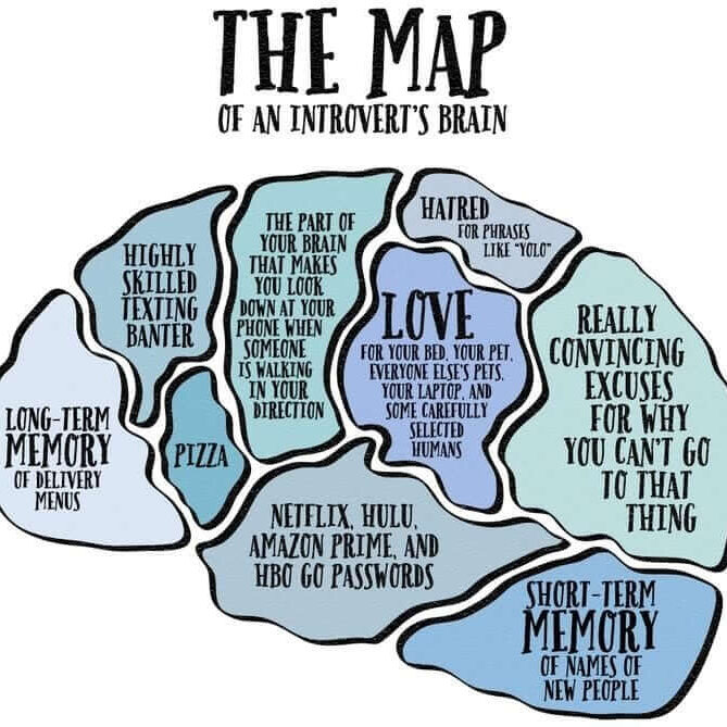 introvert-brain